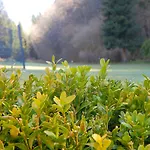 & Hubertushoehe - Ihr Fuer Urlaub Mit Hund Hotel 3*