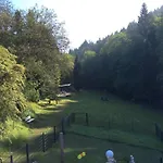 Hotel & Hubertushoehe - Ihr Fuer Urlaub Mit Hund 3*