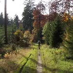 Hotel & Hubertushoehe - Ihr Fuer Urlaub Mit Hund Schmallenberg
