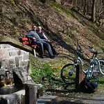 Hotel & Hubertushoehe - Ihr Fuer Urlaub Mit Hund Schmallenberg