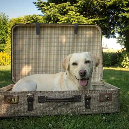 & Hubertushoehe - Ihr Fuer Urlaub Mit Hund 3*
