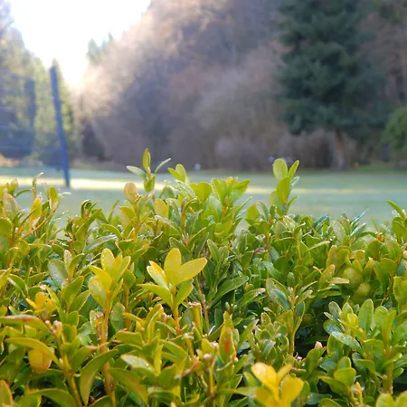 & Hubertushoehe - Ihr Fuer Urlaub Mit Hund Отель 3*