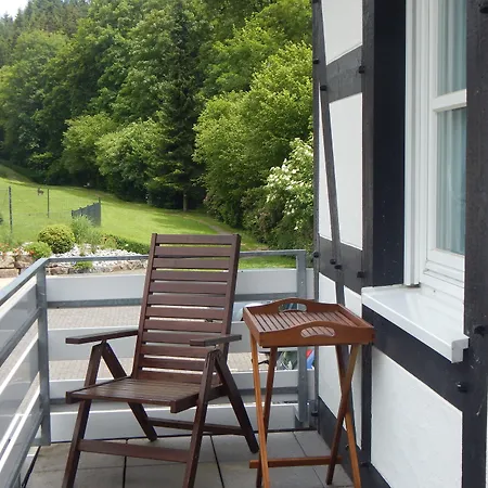 & Hubertushoehe - Ihr Fuer Urlaub Mit Hund 3* 施马伦贝格