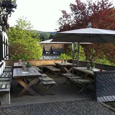 Hotel & Hubertushoehe - Ihr Fuer Urlaub Mit Hund Schmallenberg