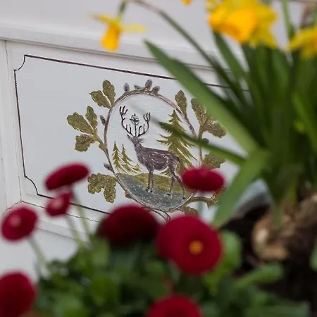 & Hubertushoehe - Ihr Fuer Urlaub Mit Hund Отель