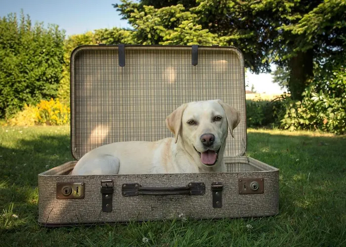 & Hubertushoehe - Ihr Fuer Urlaub Mit Hund 3*