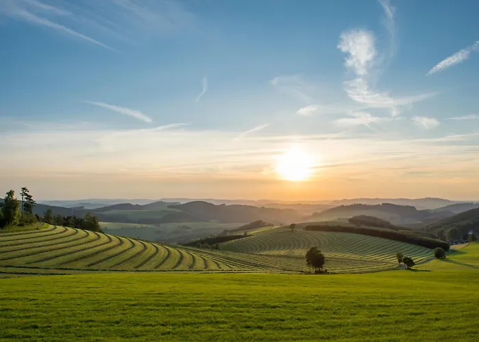 & Hubertushoehe - Ihr Fuer Urlaub Mit Hund מלון שמאלנברג