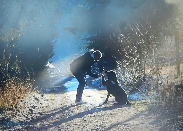 & Hubertushoehe - Ihr Fuer Urlaub Mit Hund Schmallenberg
