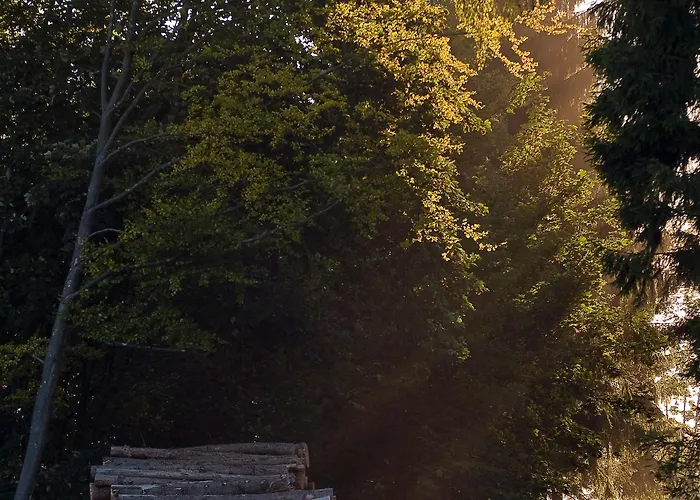 מלון & Hubertushoehe - Ihr Fuer Urlaub Mit Hund שמאלנברג