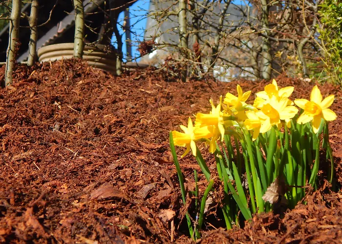 & Hubertushoehe - Ihr Fuer Urlaub Mit Hund מלון