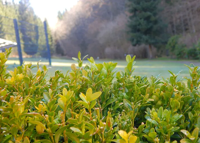 & Hubertushoehe - Ihr Fuer Urlaub Mit Hund מלון 3*