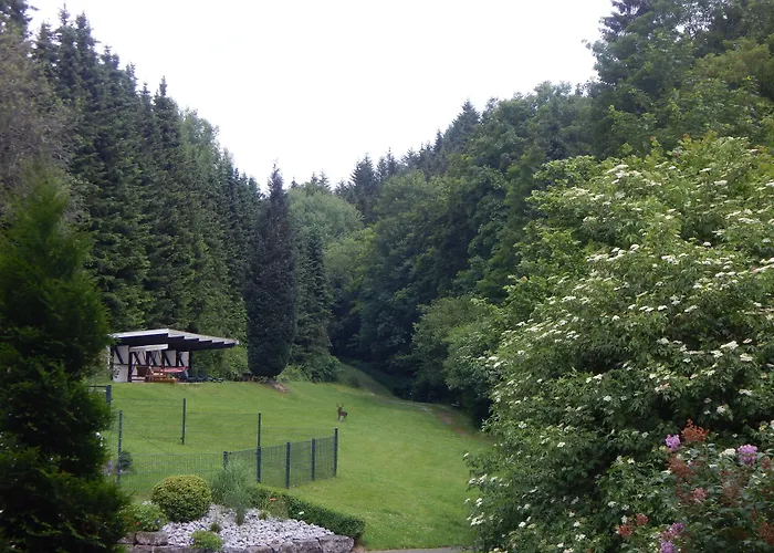 & Hubertushoehe - Ihr Fuer Urlaub Mit Hund Hotel