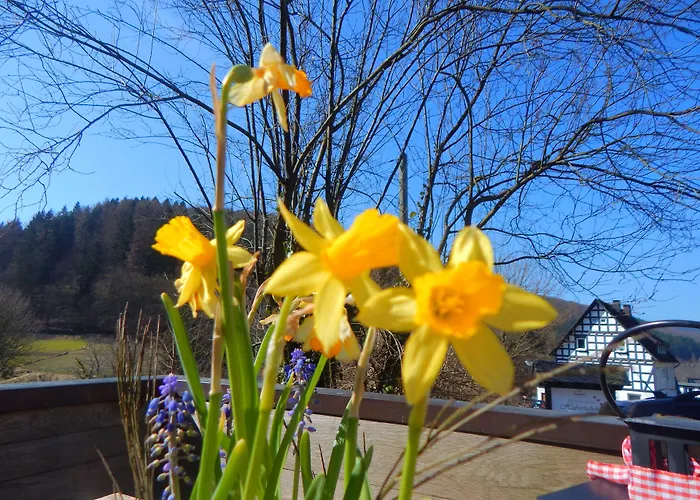 & Hubertushoehe - Ihr Fuer Urlaub Mit Hund 3* שמאלנברג