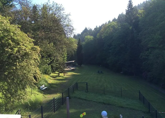 Hotel & Hubertushoehe - Ihr Fuer Urlaub Mit Hund 3*