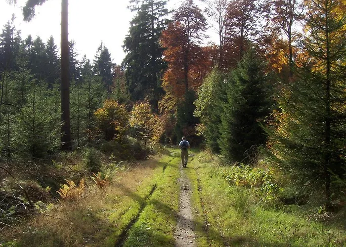 מלון & Hubertushoehe - Ihr Fuer Urlaub Mit Hund שמאלנברג