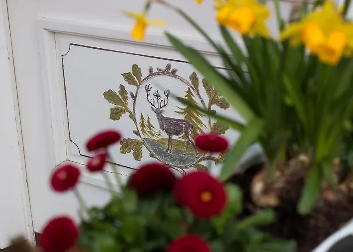 & Hubertushoehe - Ihr Fuer Urlaub Mit Hund מלון